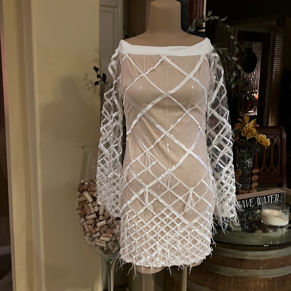Fabulous fitted off the shoulder sheer sleeved dress with pearls and feathers